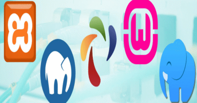 servidores virtuales locales servidor local desarrollo web XAMPP qué es WAMP descargar Laragon servidor local Docker desarrollo web entorno local programación